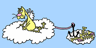 angelcat.gif